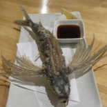 えひも Bebida