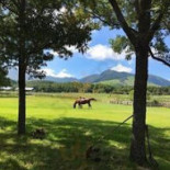 Guó Lì Gōng Yuán Jiǔ Zhòng やまなみ Mù Chǎng Exterior