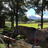 Guó Lì Gōng Yuán Jiǔ Zhòng やまなみ Mù Chǎng Exterior
