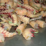なべ Zhǎng Comida