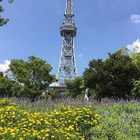 クルサーニ Exterior