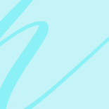 Flip Side Logo