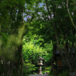 Yáng Míng Chūn Tiān Wén Chuàng Yuán Qū outside