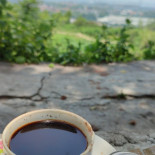 Circuit Cafe Bebida