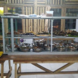 Rm. Cahaya Sari Dentro