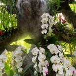 Huan Thip 456 outside