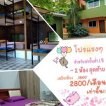 จัดเต็มcup Exterior