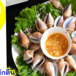 ร้านภูตรัง Bebida