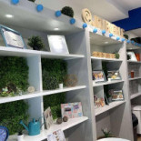 Joy Bubble Dentro