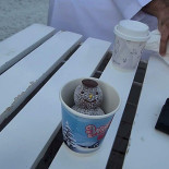 O2 Cafe Zoo Branch drink