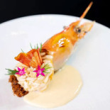 Paste Comida
