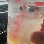 Mixue Icecream Bayu Tinggi Mì Xuě Bīng Chéng drink