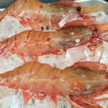 Zhú De Qīng Kōng Sān Dài Mù Comida