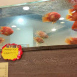88 Dim Sum Bebida
