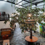 The Bean Garden Coffee And Eatery Exterior