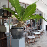The Art Lounge Exterior