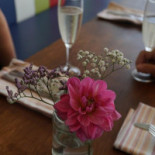 Rooted Cafe And Supper Room Bebida