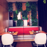 Lime Dentro