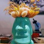 蘇草 Salvia Bebida
