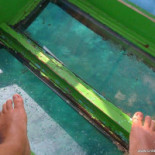 Tipsy Turtle Gili Meno Bebida