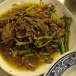 Amazon (maeda) Comida