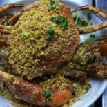 Xìng Jì Bāo Zǐ Fàn Comida