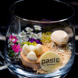 Paste Bebida