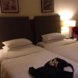 The Chinese Hyatt Regency Hong Kong Tsim Sha Tsui Dentro