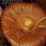 Salsa Bebida