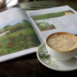 Café Amazon Comida