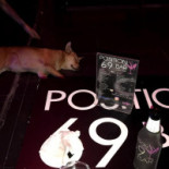 Position 69 Bebida
