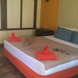 O.p. Beach Bebida