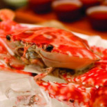 Xīn Yuán Xìng Shāo Là Chá Cān Tīng New Yuen Hing Roasted Meat Comida