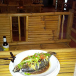 Maitai Comida