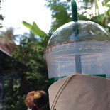 Café Amazon Bebida