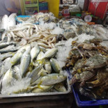 Samui Pier Comida