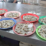 Samui Pier Comida