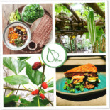 Bao An Macrobiotic Guru