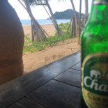 Same Same But Different Comida
