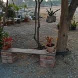 เล็กเตี๋ยวปลา Dentro
