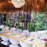 Monkey Tree Garden Comida