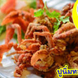 ร้านภูตรัง Comida