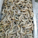 ส จ แบรนด์ Comida