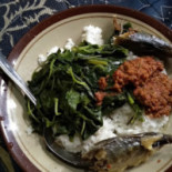 Rm. Anda Comida