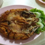 ซ้ง ต้นตำรับ หัวปลาหม้อไฟเห็ดโคน Comida