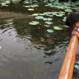 พนา คาเฟ่ Dentro