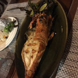 Marlin Dentro