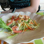 Pine Tree Comida
