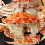 Qiǎo Yàn Yú Fāng Comida