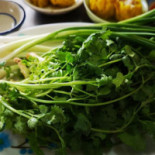 กวางติ่มซำ Comida